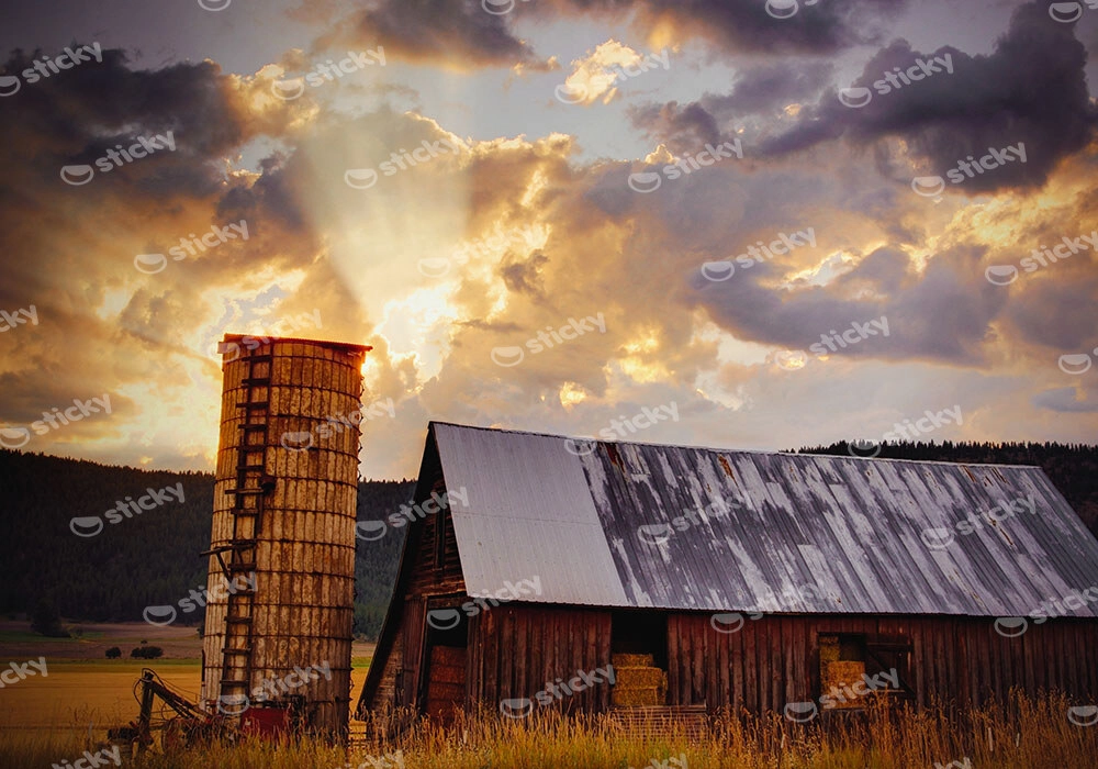Πίνακας σε Καμβά RUSTIC FARMHOUSE BARN 26