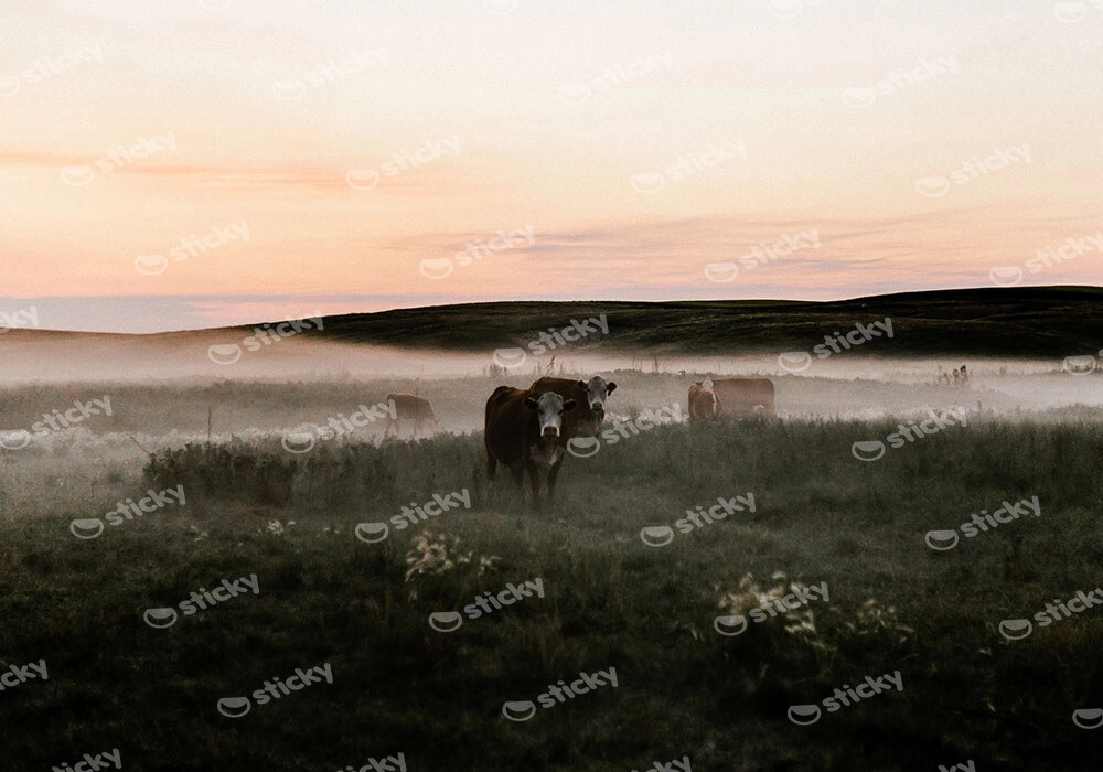 Πίνακας σε Καμβά RUSTIC FARMHOUSE COWS 15