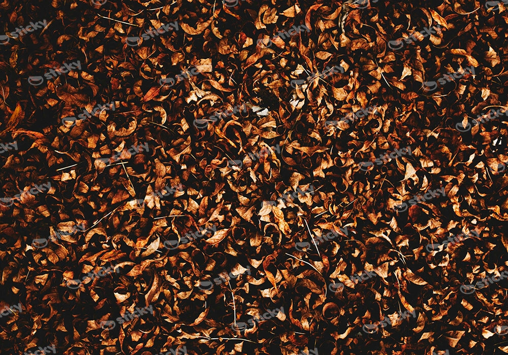Πίνακας σε Καμβά RUSTIC FARMHOUSE DRIED LEAVES 8