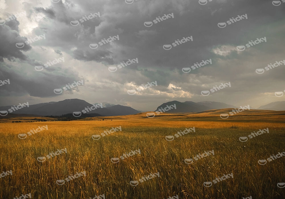 Πίνακας σε Καμβά RUSTIC FARMHOUSE FIELD 10