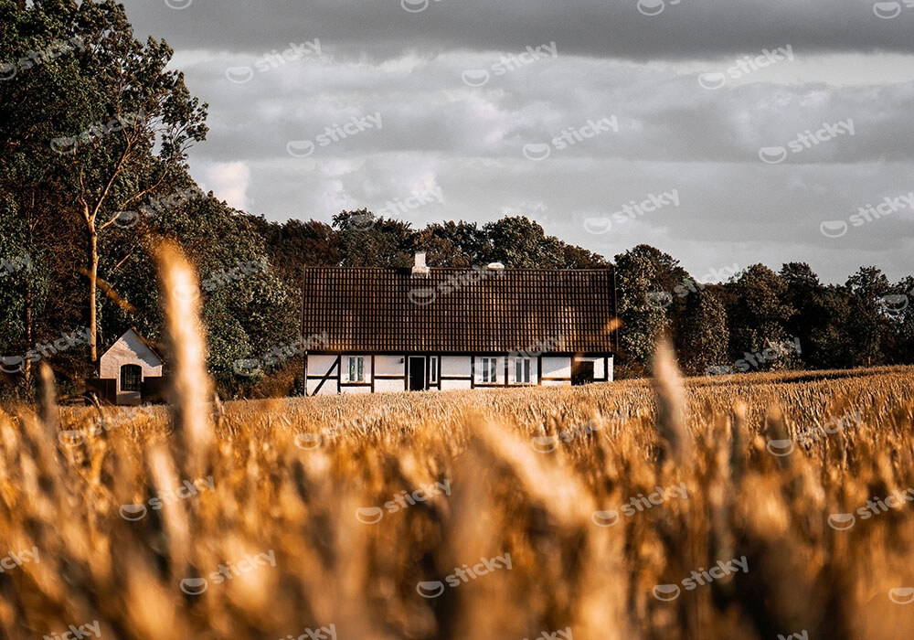 Πίνακας σε Καμβά RUSTIC FARMHOUSE FIELD CABIN 4