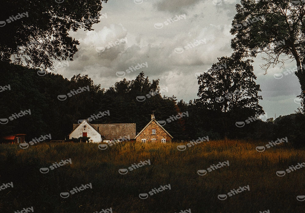 Πίνακας σε Καμβά RUSTIC FARMHOUSE FIELD CABIN 5
