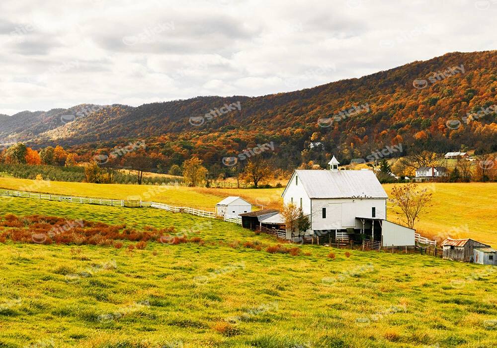 Πίνακας σε Καμβά RUSTIC FARMHOUSE FIELD CABIN 7