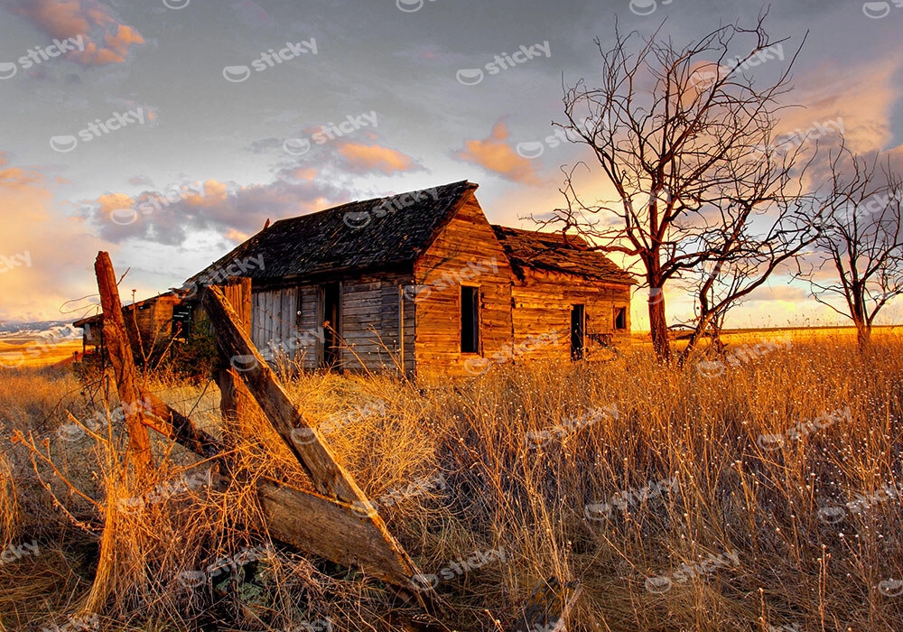 Πίνακας σε Καμβά RUSTIC FARMHOUSE FIELD CABIN 9