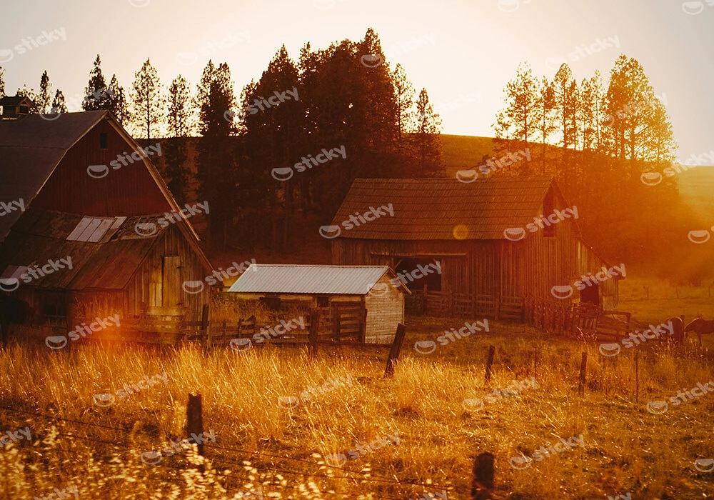 Πίνακας σε Καμβά RUSTIC FARMHOUSE FIELD CABIN 10