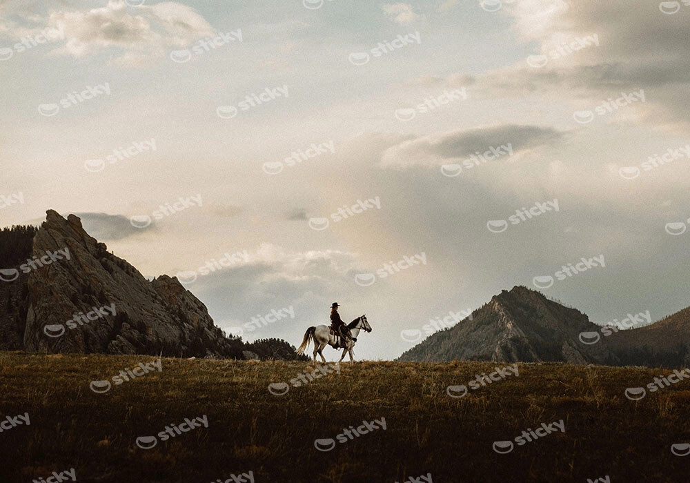 Πίνακας σε Καμβά RUSTIC FARMHOUSE RIDER 2
