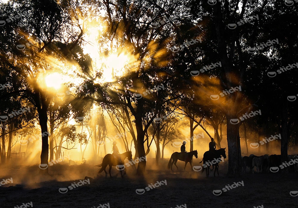 Πίνακας σε Καμβά RUSTIC FARMHOUSE RIDERS