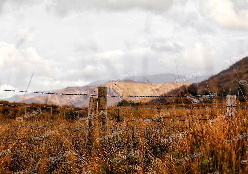 Πίνακας σε Καμβά RUSTIC FARMHOUSE WHEAT FIELD 9