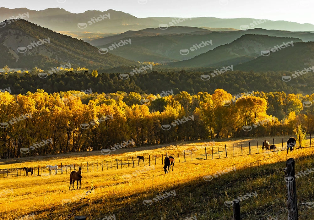 Πίνακας σε Καμβά RUSTIC FARMHOUSE WHEAT FIELD 11