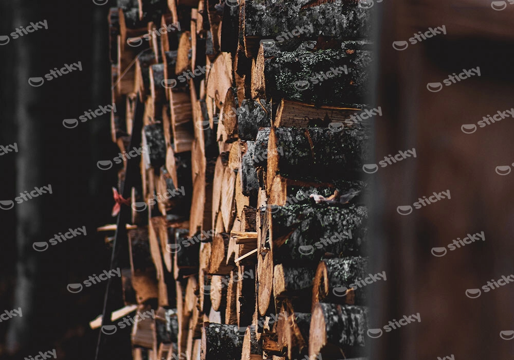 Πίνακας σε Καμβά RUSTIC FARMHOUSE WOOD LOGS 19