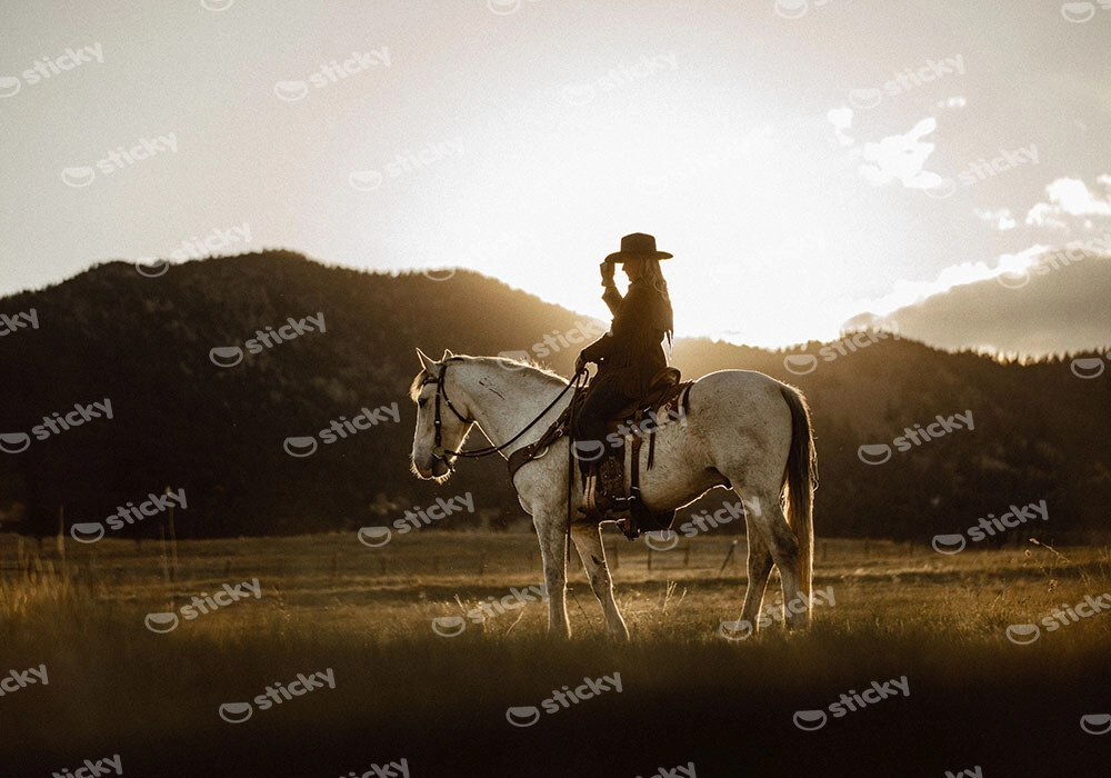 Πίνακας σε Καμβά RUSTIC FARMHOUSE RIDER