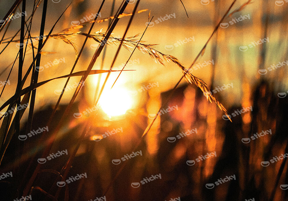 Πίνακας σε Καμβά RUSTIC FARMHOUSE SUNSET