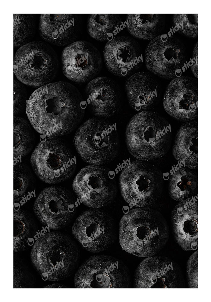 Poster RUSTIC FARMHOUSE BERRIES 2