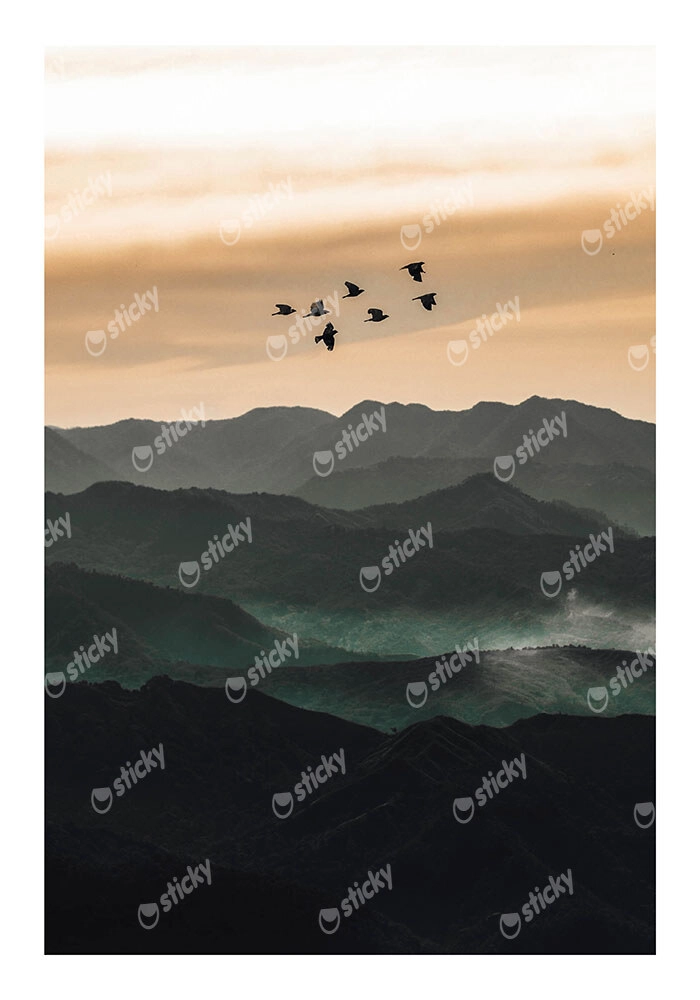 Poster RUSTIC FARMHOUSE BIRDS FLYING