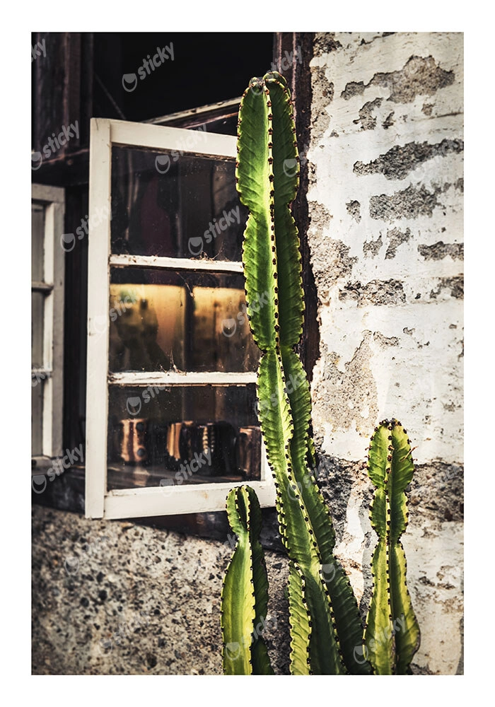 Poster RUSTIC FARMHOUSE CACTUS 3