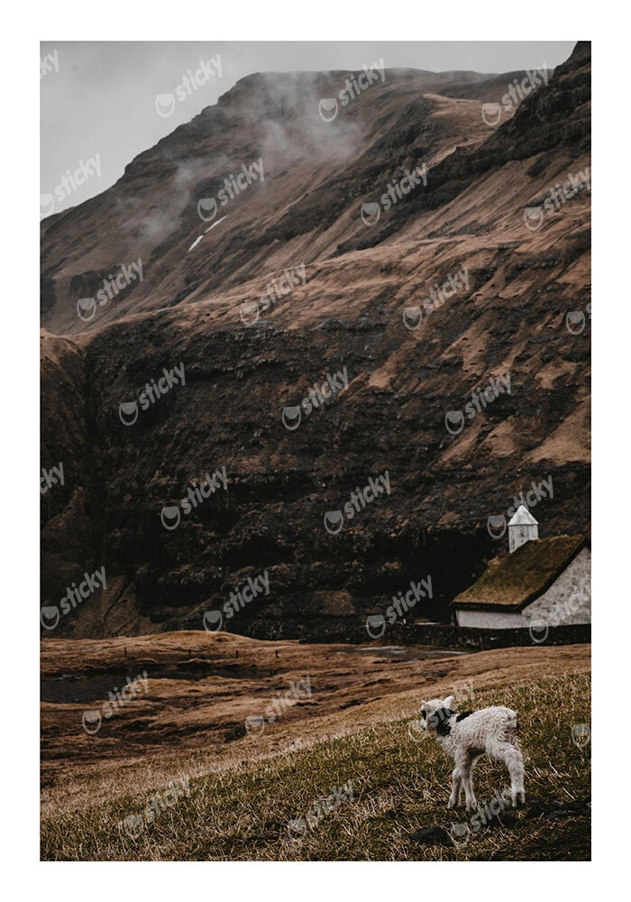 Poster RUSTIC FARMHOUSE CALF