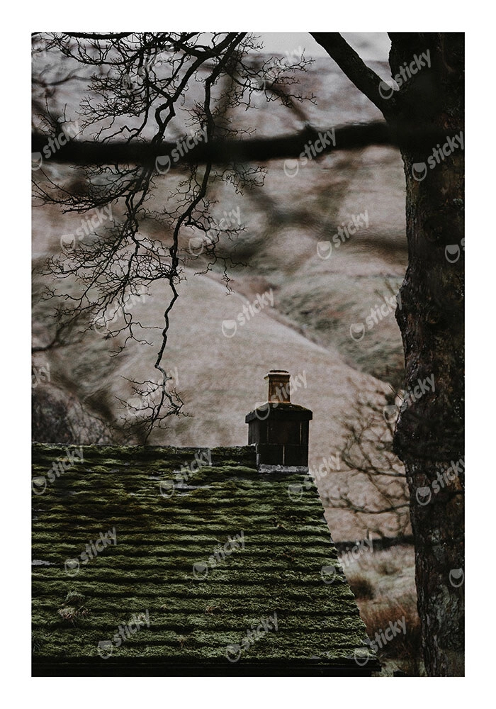 Poster RUSTIC FARMHOUSE CHIMNEY
