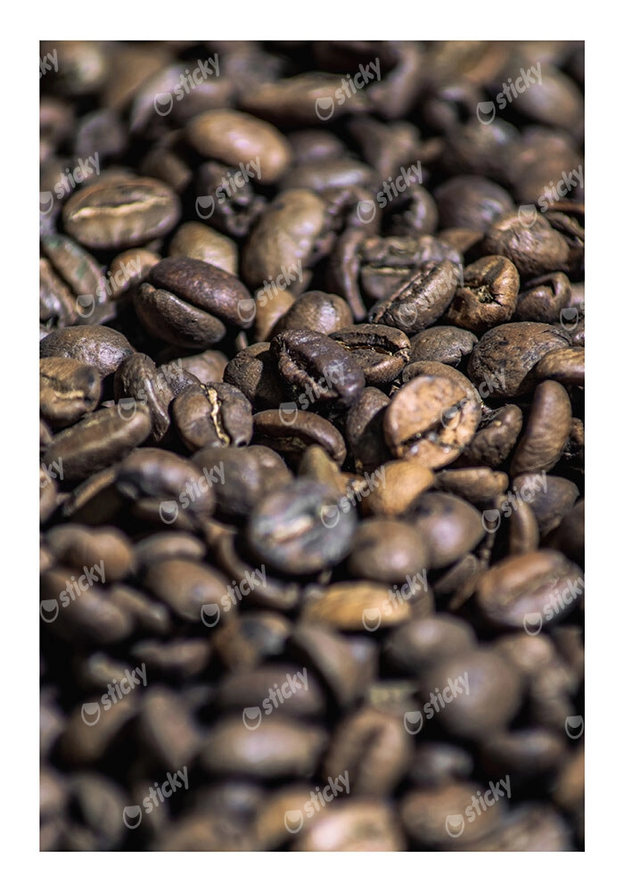 Poster RUSTIC FARMHOUSE COFFEE BEANS