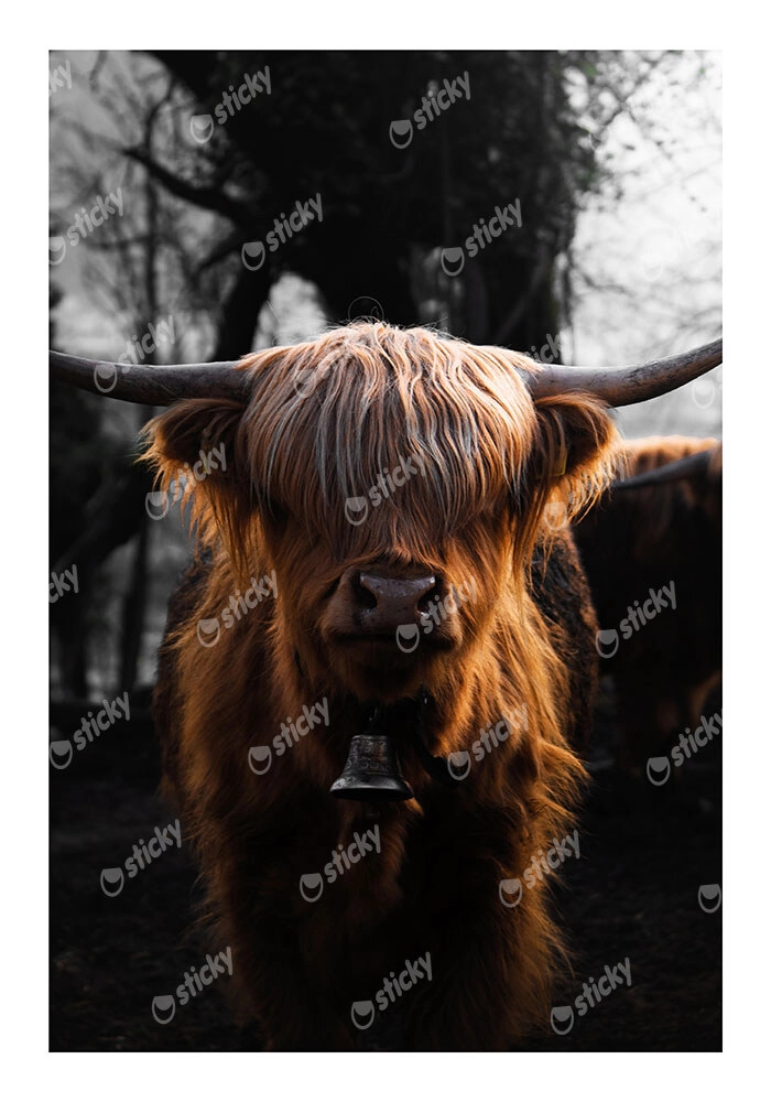 Poster RUSTIC FARMHOUSE COW 3