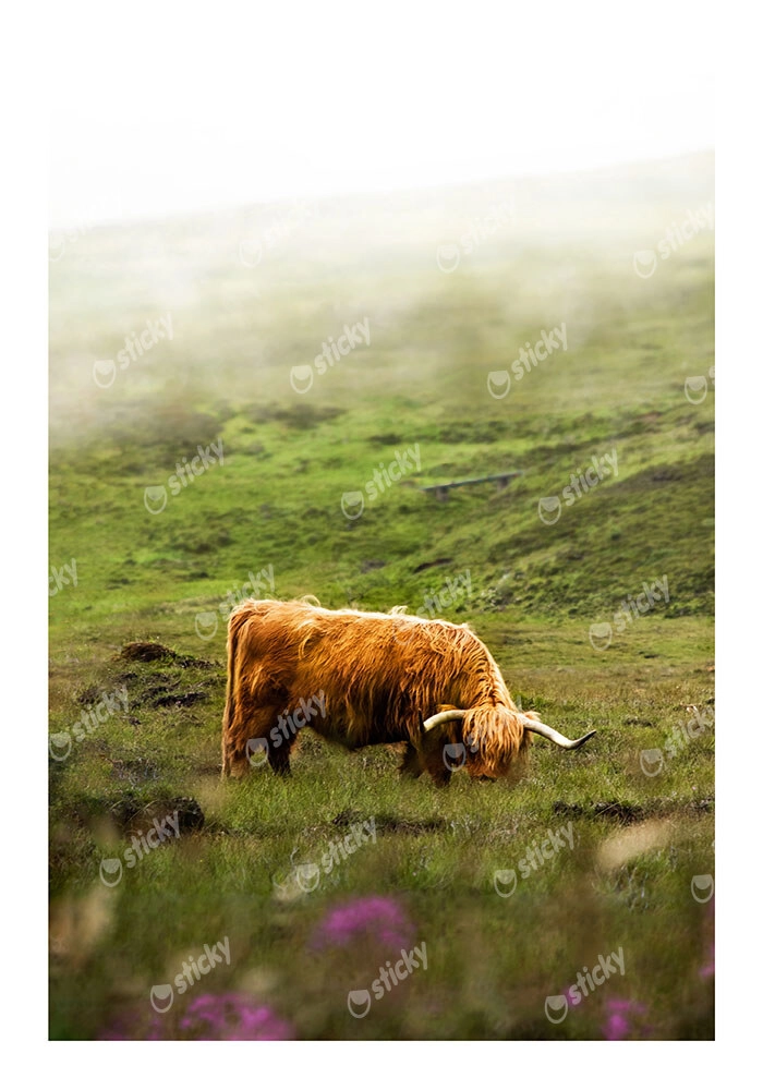 Poster RUSTIC FARMHOUSE COW 7