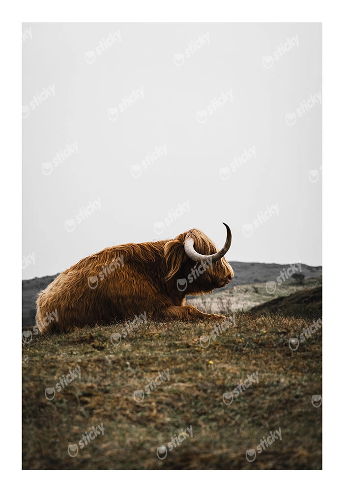 Poster RUSTIC FARMHOUSE COW 9