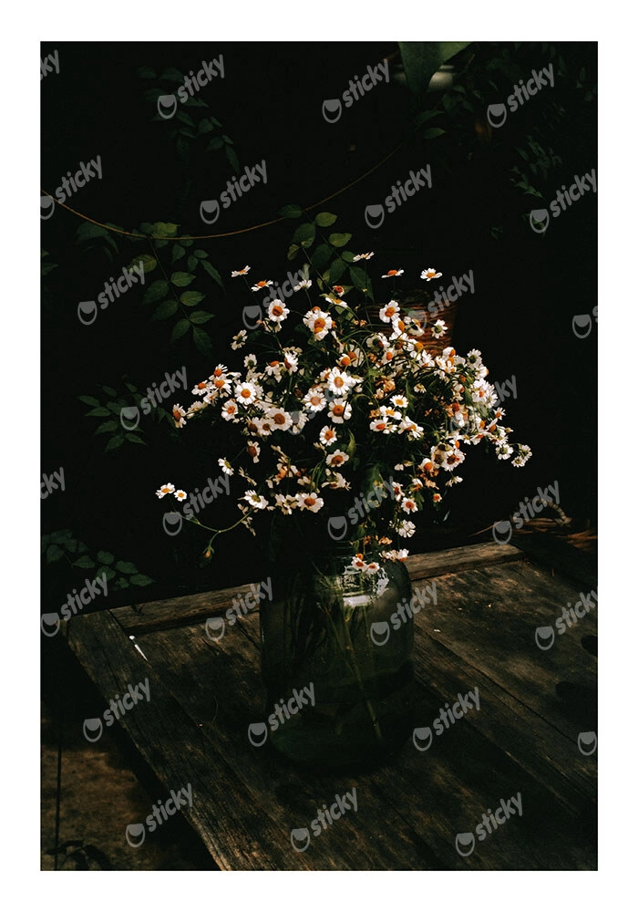 Poster RUSTIC FARMHOUSE DAISIES