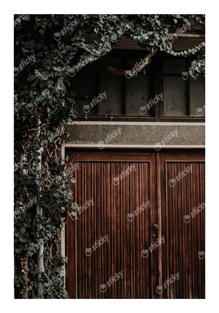 Poster RUSTIC FARMHOUSE DOOR 3
