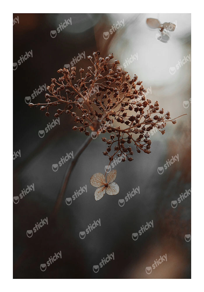 Poster RUSTIC FARMHOUSE DRIED LEAVES 2