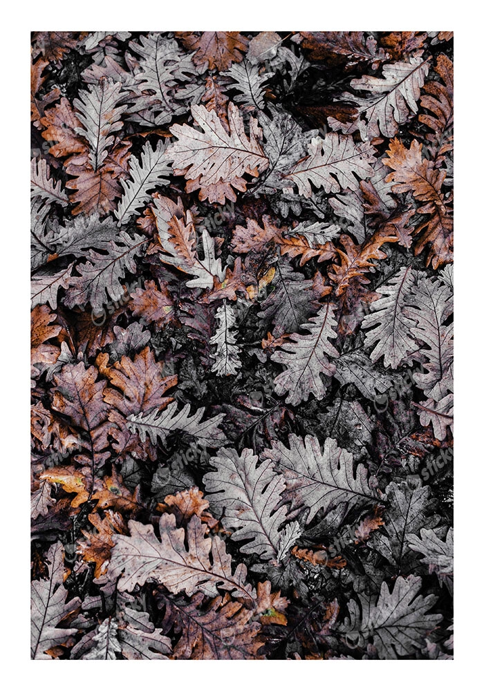 Poster RUSTIC FARMHOUSE DRIED LEAVES 3