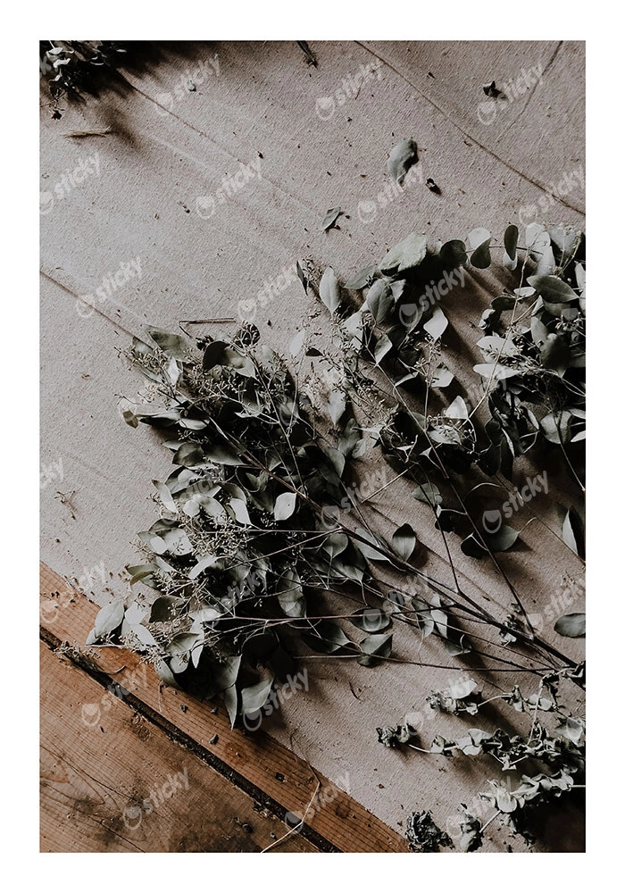 Poster RUSTIC FARMHOUSE DRIED LEAVES 6