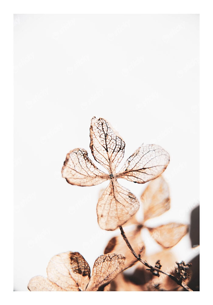 Poster RUSTIC FARMHOUSE DRIED LEAVES