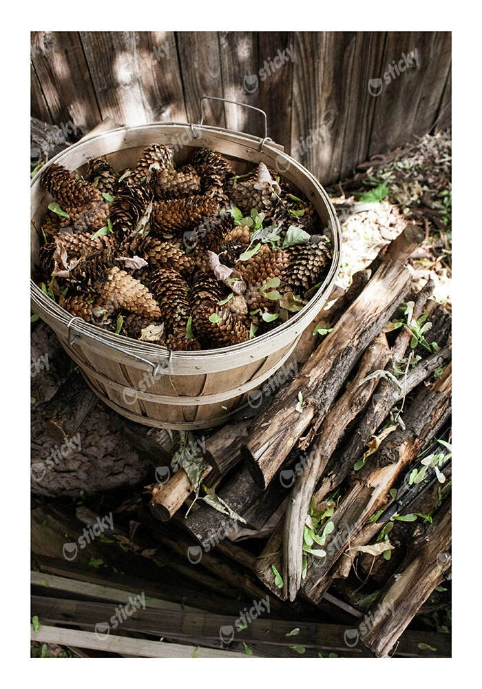 Poster RUSTIC FARMHOUSE DRIED WOOD