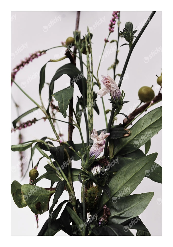 Poster RUSTIC FARMHOUSE FLOWERS 2
