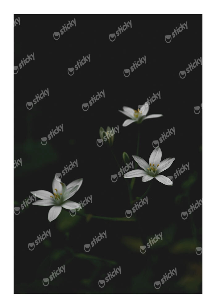 Poster RUSTIC FARMHOUSE FLOWERS 3