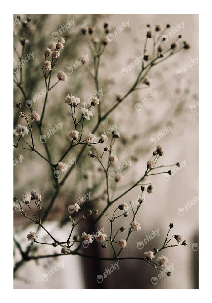 Poster RUSTIC FARMHOUSE FLOWERS 4