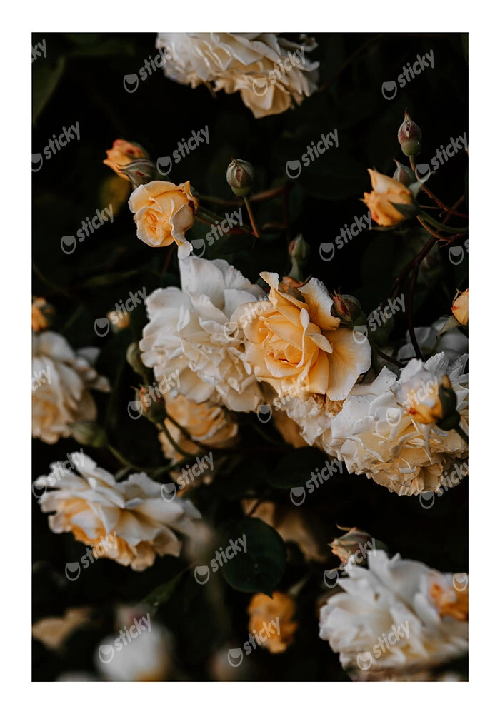 Poster RUSTIC FARMHOUSE FLOWERS