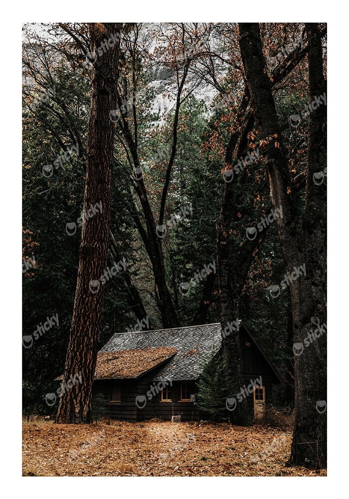 Poster RUSTIC FARMHOUSE FOREST CABIN 3