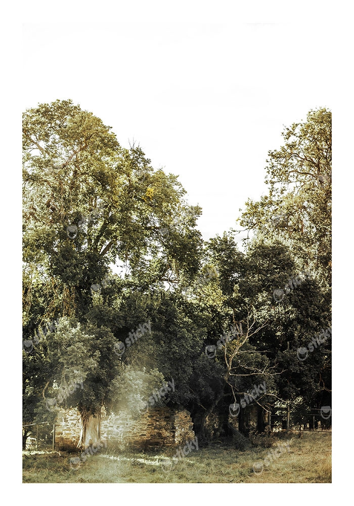 Poster RUSTIC FARMHOUSE FOREST PATH 2