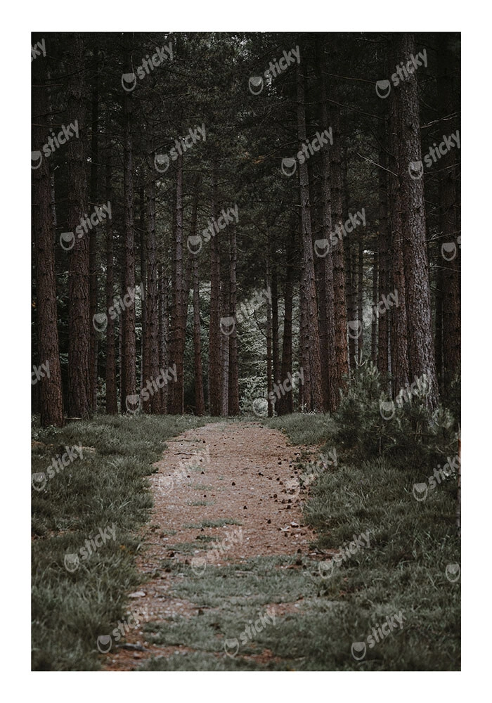 Poster RUSTIC FARMHOUSE FOREST PATH