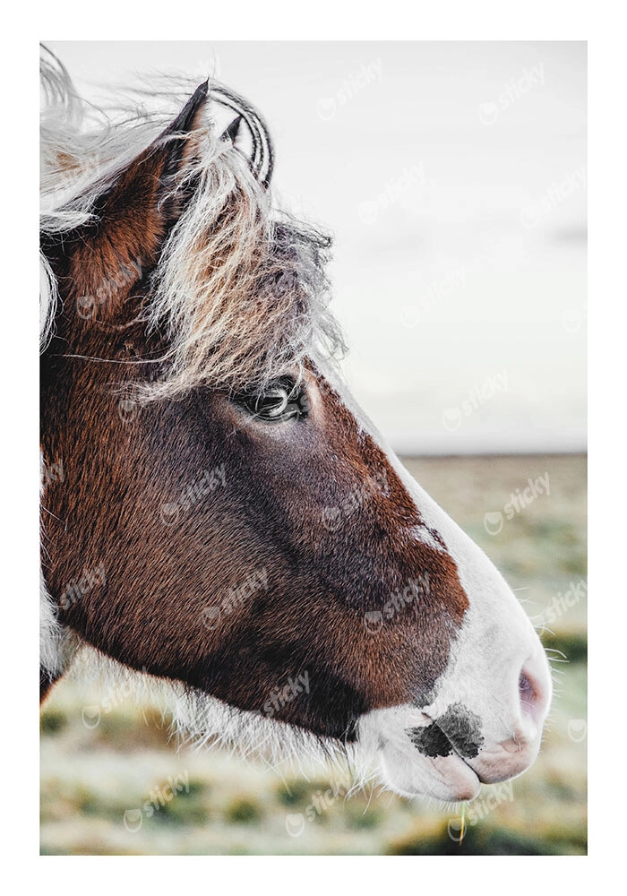 Poster RUSTIC FARMHOUSE HORSE 10