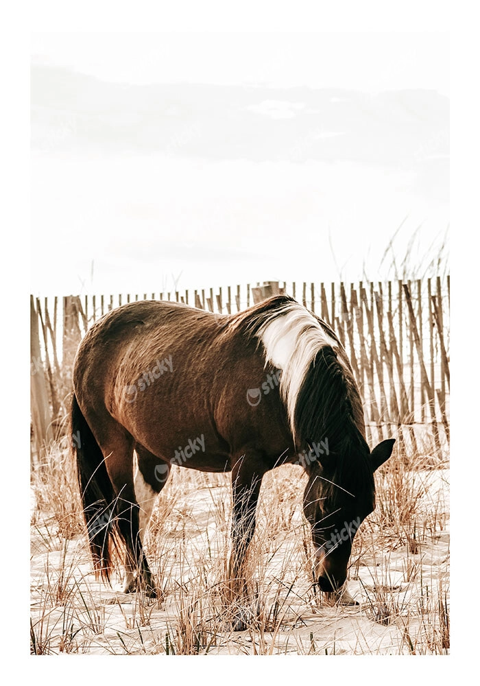 Poster RUSTIC FARMHOUSE HORSE 15