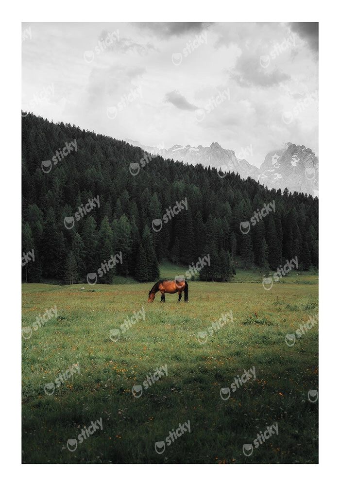 Poster RUSTIC FARMHOUSE HORSE 17