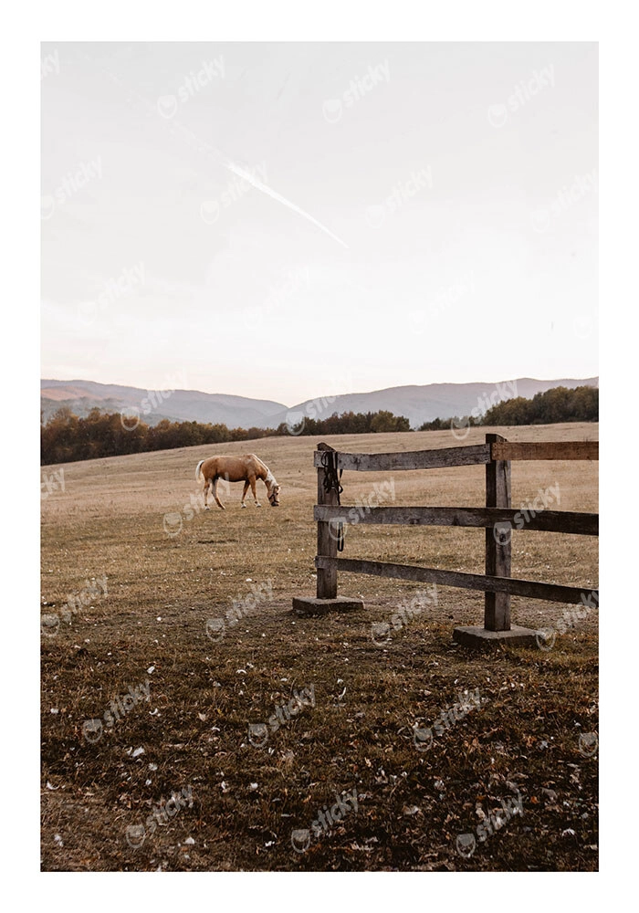 Poster RUSTIC FARMHOUSE HORSE FIELD