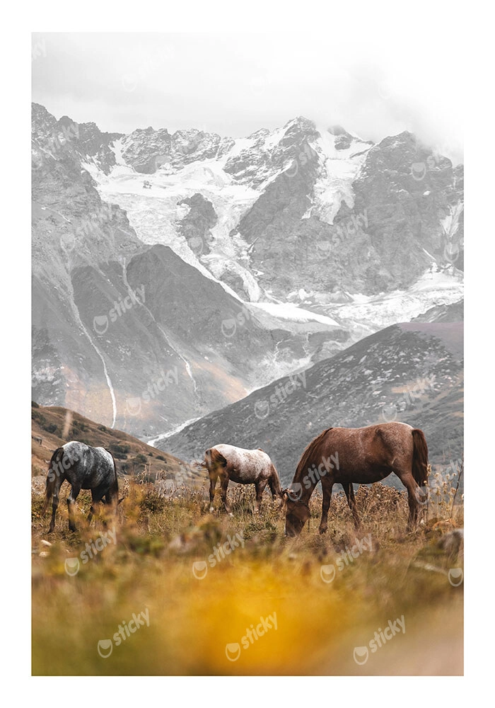 Poster RUSTIC FARMHOUSE HORSES 3