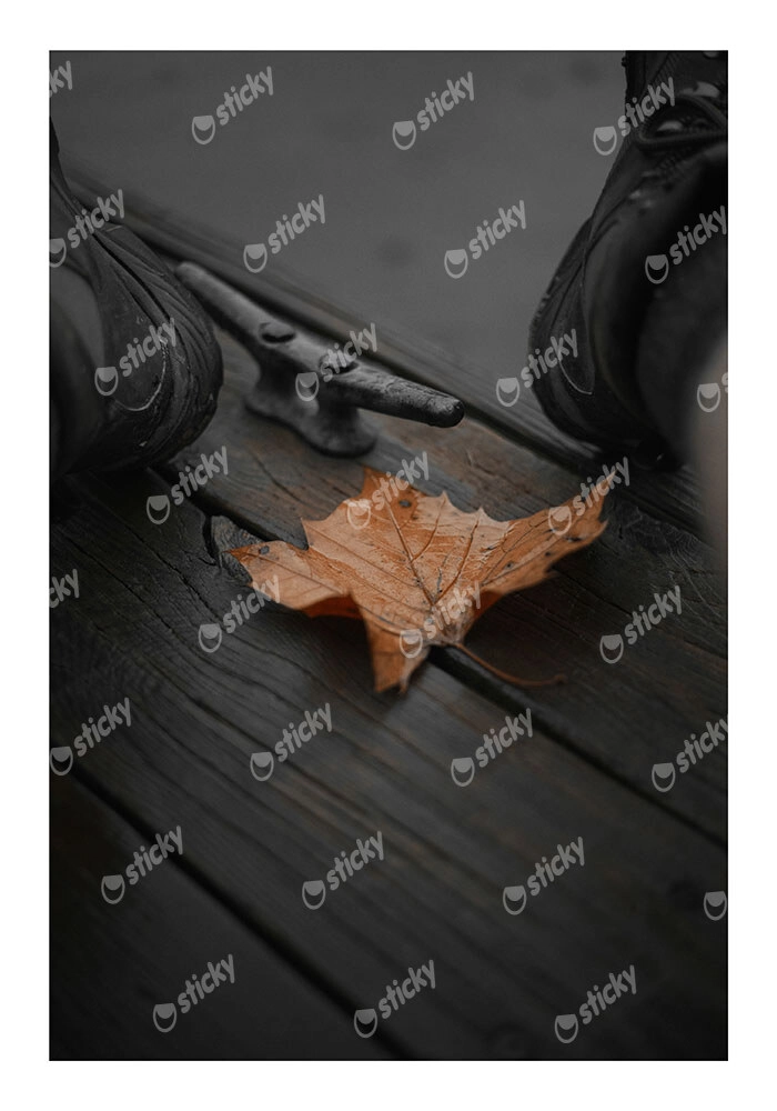 Poster RUSTIC FARMHOUSE LEAF