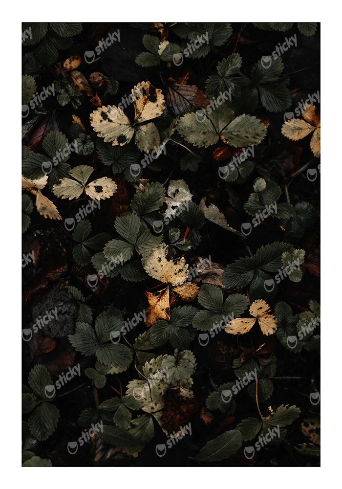 Poster RUSTIC FARMHOUSE LEAVES 2