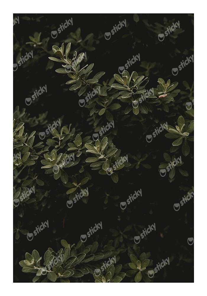 Poster RUSTIC FARMHOUSE LEAVES
