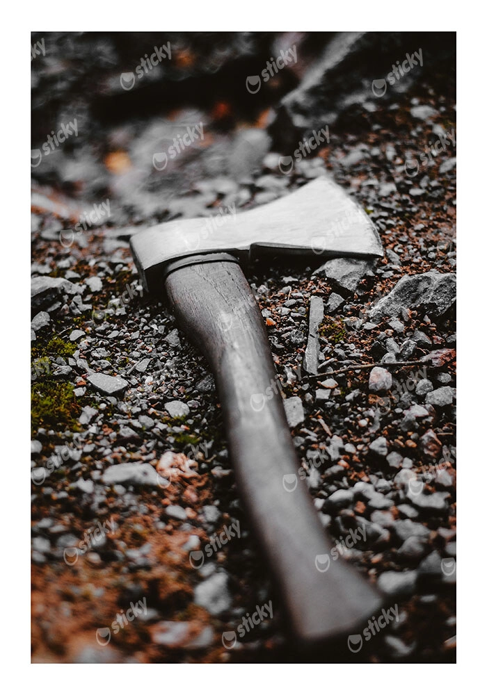 Poster RUSTIC FARMHOUSE AXE 2