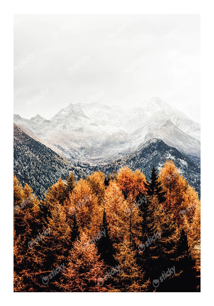 Poster RUSTIC FARMHOUSE MOUNTAIN LIFE 4