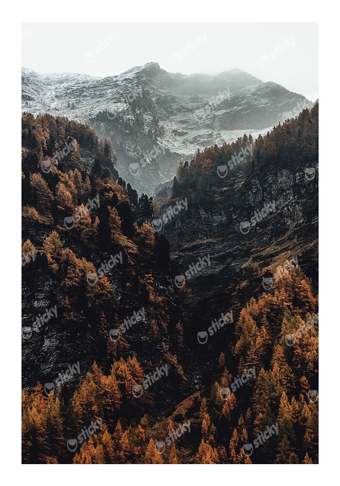 Poster RUSTIC FARMHOUSE MOUNTAIN LIFE 5